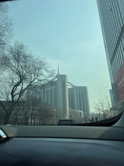 The image depicts an exterior view from inside a vehicle, looking forward through a windshield onto a city street in Shenhe District, Shenyang, China. The prominent central subject is the Liaoning Provincial Government building, characterized by its light-colored stone or concrete facade, a distinctive central tower with a spire, and two symmetrical wings connected by overhead structural elements. The building exhibits numerous vertical window sections. To the immediate right, a modern skyscraper with a dark glass facade is partially visible, featuring a large red billboard with white Chinese characters on its lower section.

Bare-branched deciduous trees, indicative of winter or early spring, are present in the left and central mid-ground, partially obscuring smaller, less distinct buildings behind them. The foreground shows the upper portion of a vehicle's dark-colored dashboard and the top of a dark SUV or similar vehicle on the street ahead. A green traffic signal is visible on the left side of the street. The sky is a uniform, hazy light blue, suggesting overcast conditions or atmospheric haze. No individuals are discernible within the frame. The windshield displays minor smudges or dust particles.