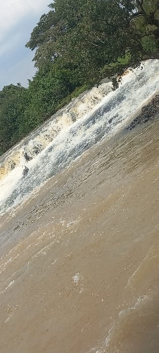 A natural water feature is presented in Huruma ward, Kenya. The image is composed at an oblique angle. The upper-left quadrant shows a densely vegetated bank, primarily green trees, beneath a light-colored sky. Turbid, brown water cascades in multiple foamy streams down a visible slope from this bank. This cascading water converges into a larger, relatively calm body of murky brown water that occupies the foreground and midground. This broader water surface exhibits minor ripples. No human presence, animals, or artificial structures are observed. The primary action is the flow of water.