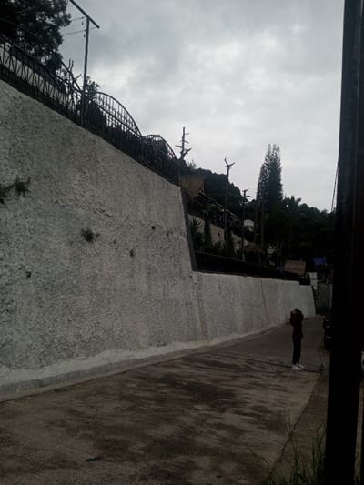 The image captures a paved road running alongside a long, light-colored retaining wall under an overcast sky in Bhupalpally, India. The textured wall, likely constructed from concrete or stucco, exhibits minor organic growth. A black wrought-iron fence featuring arched decorative elements surmounts the wall. Behind the fence, dense green foliage, numerous trees including tall, slender conifers, and several bare tree branches populate the elevated terrain. Scattered among the trees on the higher ground are multiple structures characterized by thatched roofs. The dark grey road surface displays variations in texture and tone. A lone individual stands on the road in the mid-ground, oriented away from the camera and facing the wall. This person wears a dark reddish-brown long-sleeved shirt, dark trousers, and white sneakers, with their arms raised towards their head. The extreme right foreground includes a dark vertical structure, possibly a pole, and some blades of green grass. A partially visible two-wheeled vehicle is parked further down the road on the right.