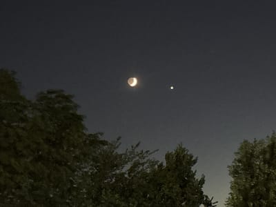 The image captures a clear night sky with a crescent moon and a bright star or planet visible. In the foreground, the tops of lush green trees are silhouetted against the dusky sky. The scene appears to be an outdoor setting, possibly a park or residential area, in Glendale Heights, United States of America. No people or specific activities are depicted.