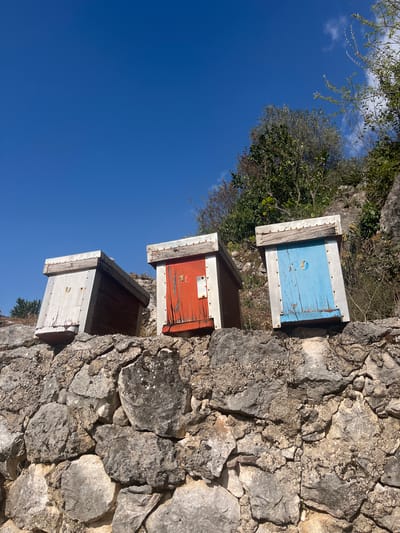 Three colorful wooden beehives are stacked vertically against a dry-stone wall in Godinje, Montenegro. The topmost hive is painted blue, the middle one is red, and the bottom one is white. The sky is a clear, bright blue. A few trees and shrubs are visible in the background. The wall is constructed from irregularly shaped gray stones.