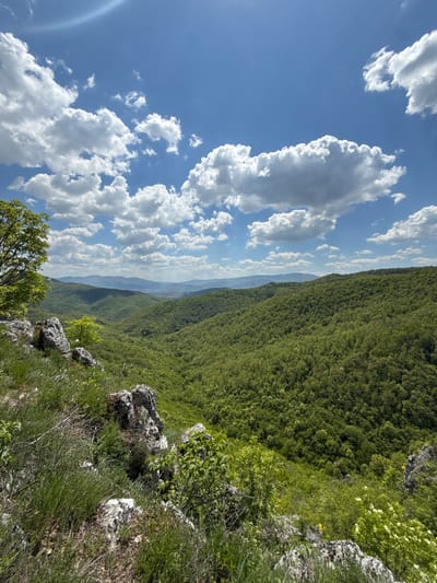 The image captures a landscape from a high vantage point, likely a cliff or mountain edge, in Lipnitsa, Bulgaria. Lush, dense forest covers the rolling hills, extending into the distance. A vibrant blue sky is partially filled with puffy, white cumulus clouds. In the foreground, rocky terrain and vegetation, including grass, bushes, and a small tree, are visible. The composition suggests a panoramic view of the natural environment in Lipnitsa.