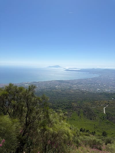The image shows a panoramic view from a high vantage point overlooking the city of Ercolano, Italy, and the Bay of Naples. In the foreground, lush green trees and scattered pink wildflowers dominate the landscape. The middle ground reveals a dense, verdant forest that transitions into the sprawling urban area of Ercolano, characterized by its densely packed buildings with red-tiled roofs. Beyond the city lies the tranquil expanse of the Bay of Naples, dotted with several cargo ships. In the distance, islands and mountains are faintly visible against the horizon, partially obscured by a light haze. The sky above is a clear, bright blue, with a thin white contrail from an airplane streaking across it. The overall scene depicts a sunny day with excellent visibility.