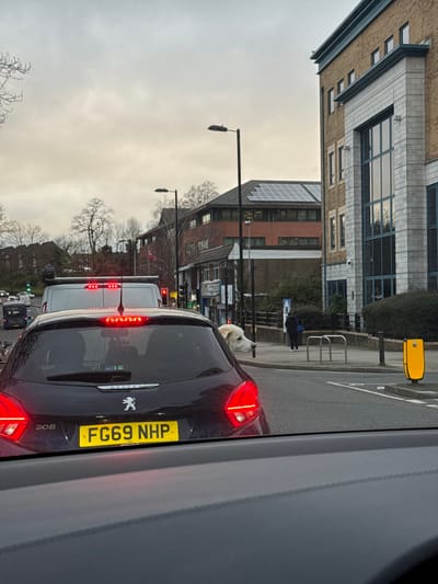 The image depicts an urban thoroughfare within the city of Southampton, United Kingdom, under an overcast sky, observed from inside a stationary vehicle.
In the immediate midground, a dark-colored Peugeot 208 hatchback with the UK registration plate FG69 NHP is stopped, its brake lights illuminated. A large, light-colored dog, likely a Golden Retriever or similar breed, extends its head and upper torso from the rear driver-side window of this vehicle, facing rightward. Behind the Peugeot, a white van is also stopped in traffic, with illuminated brake lights, and further vehicles are visible down the road.
To the right of the vehicles, on the pavement, are metal bicycle stands and a yellow pedestrian push-button signal pole. A single individual, dressed in dark clothing, walks away from the camera on the pavement. Buildings line the street: the closest on the right is a modern structure with light brown brick and prominent gray stone cladding, featuring large vertical windows and a visible CCTV camera. Further back on the same side, a distinct dark red-brown brick building with a sloped roof is visible, extensively covered with solar panels.
Traffic lights are visible further down the road to the left of the white van. Bare deciduous trees are scattered in the background against the bright, overcast sky, suggesting a cool season. Streetlights line the road. The scene indicates a busy commercial or mixed-use district experiencing traffic congestion.