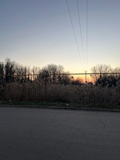 The image displays an outdoor scene in Dmitriyevskaya, Russia, during dusk or twilight, with a low sun casting a warm orange glow on the horizon. The foreground consists of a dark asphalt road surface, exhibiting multiple cracks and a slightly raised curb. Immediately beyond the road, a narrow strip of dark earth with sparse green vegetation and scattered small white debris precedes a dense stand of tall, dry, light brown reeds or cattails. Above these reeds, a prominent horizontal yellow pipeline traverses the scene, supported by several dark, slender vertical posts, forming what appears to be part of a fence structure. In the midground, various bare deciduous trees are visible behind the reeds and pipeline, their dark, intricate branches silhouetted against the sky. Centered on the right side of the image, a dark utility pole stands, from which three distinct parallel power lines extend diagonally upwards and left, disappearing out of frame. The sky transitions from a pale blue-grey at the top to a vibrant orange-yellow hue along the horizon, indicating the setting sun. No individuals or active subjects are present.
