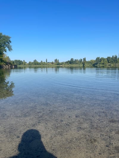 A vertical, eye-level, medium shot captures a tranquil scene on the bank of a body of water, likely a river or lake, under a clear, bright blue sky. The foreground is dominated by shallow, transparent water, revealing a sandy, pebbly bottom. The shadow of a person, its head and shoulders clearly defined, falls across this submerged terrain, indicating the photographer's presence.

The middle ground features the calm surface of the water, disturbed only by faint, concentric ripples originating from an unseen source. These ripples reflect the clear sky and the distant treeline. The treeline, composed of a variety of deciduous trees and some taller, slender trees, stretches across the horizon, casting a soft reflection onto the water. The vegetation appears lush and green, suggesting a temperate season.

To the left of the frame, a section of the riverbank is visible, featuring a rocky outcrop and the branches of a large, leafy tree. The overall environment suggests a natural, undeveloped area within or on the outskirts of the city of Malyn, Ukraine, given the likely geographical context of the image. The scene is peaceful and serene, characterized by the interplay of water, sky, and foliage.