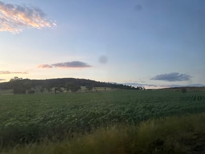 This image captures a rural landscape near Smilets, Bulgaria, at dusk or dawn. The upper two-thirds of the frame are occupied by a clear sky, exhibiting a gradient from a warm, pale yellow-orange on the left horizon to a light blue towards the top and right. Scattered, streaky clouds with pink and orange highlights are present in the upper left quadrant, with a smaller, similarly illuminated cloud in the mid-right, and a more diffuse grey cloud formation on the far right. Two circular dark spots, consistent with lens or sensor dust, are visible in the upper right sky. The middle ground consists of a vast, flat agricultural field, densely planted with a green crop, arranged in discernible rows that recede into the distance. Beyond the field, a dark, undulating line of forested hills or dense tree cover forms the horizon. The immediate foreground contains blurred, dark green and brownish vegetation. No human subjects or animals are visible, nor are any direct actions or interactions depicted.