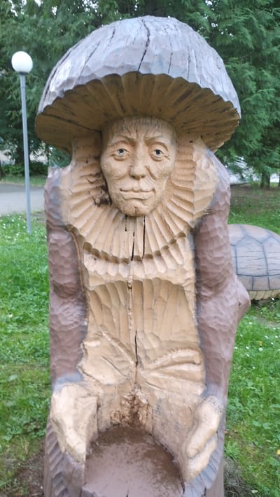 This media file showcases a wooden sculpture of a whimsical, gnome-like figure lying down. The sculpture appears to be a park attraction, set outdoors in a grassy area with trees in the background, suggesting a public park or garden. The figure has a weathered, carved face with prominent features, including wide-open eyes and a slightly upturned nose, giving it a curious or amused expression. Its body is carved in a stylized, elongated form, with textured details that mimic clothing or the natural grain of the wood. The figure's head is nestled against a large, mushroom-like cap that is also carved from wood, adding to the fantastical nature of the piece. The background shows green grass, some small white flowers, and a tall evergreen tree, indicating an outdoor setting during daylight hours, likely spring or summer. A lamppost with a white globe is visible to the left of the sculpture, further suggesting a park environment. The overall impression is one of playful folk art designed to evoke a sense of wonder. The image is oriented vertically, with the sculpture's head at the top and its body extending downwards. The carving's texture and the visible wood grain suggest it's made from a large log. There is no visible text in the image.