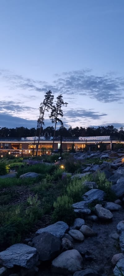 The image depicts a twilight scene of a modern building with large windows, illuminated from within, surrounded by a landscaped garden. Two tall, slender pine trees are silhouetted against a cloudy sky, leaning slightly to the right. The foreground is dominated by a rocky area with various sizes of gray stones and lush green vegetation, including grasses and some purple flowering plants. Several small, warm-toned lights are strategically placed within the garden, illuminating pathways and highlighting the plants and rocks. A shallow stream or water feature is visible in the lower right corner, with smooth stones lining its edges. The building's architecture features horizontal lines and a light-colored facade. The overall impression is one of a serene, well-maintained outdoor space adjoining a contemporary structure during the transition from day to night. There are no people visible in the image. The location is identified as Shulgino, Russia.