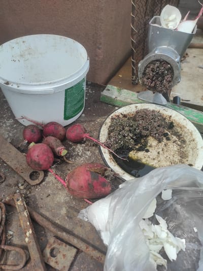 In the city of Nekrasovka, Kazakhstan, on a rough, weathered surface, possibly a yard or work area, an assortment of items suggests a food preparation or processing activity. A large, dirty white plastic bucket stands to the left. In front of it, a cluster of five radishes, their roots still attached, are scattered on the ground. To the right of the radishes, a metal meat grinder, positioned on a green wooden plank, is in operation, with ground material accumulating in a white, chipped enamel bowl to its right. The bowl contains a dark, pulpy mixture, likely the processed radishes, with some dark liquid pooling at the bottom. Above the bowl, the meat grinder's hopper contains more of the ground radishes and what appears to be a partially crushed eggshell. To the lower right, a crumpled white plastic bag holds what seems to be more eggshell fragments. The overall scene is utilitarian and somewhat disorganized, with visible signs of wear and tear on the objects and the ground.