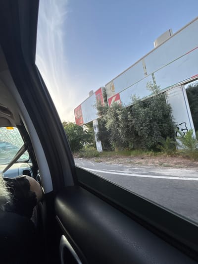 A medium shot captures the view from inside a vehicle, looking out the passenger side window. The foreground is dominated by the interior of the car, including a dark-colored car door and a glimpse of a person in the passenger seat, whose head is turned away and is resting on something black and textured. The middle ground shows a road with a white line marking the lane, and beyond that, a large billboard structure with various advertisements. Some of the advertisements are faded or blank, while others display red and white patterns. Green foliage, including trees and bushes, partially obscures the billboards. The sky above is clear and blue with wispy clouds. In the background, a section of the billboard structure appears to be leaning. The scene is set during daylight hours, with the sun casting a warm glow. The location is identified as Urbanización La Cenia II, Spain.