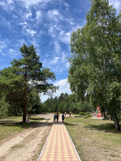 The image depicts a sunny day in a park setting, likely in Lebyazhye, Russia. In the foreground, a paved path with a yellow and red diamond pattern leads into the distance. Three individuals, appearing to be children or young teenagers, are walking away from the camera on this path. To the left, a tall pine tree casts a shadow on a sandy path, with a red and white warning sign partially visible at its base. To the right, a large birch tree with lush green foliage dominates the scene. The background features a treeline of various coniferous and deciduous trees under a bright blue sky with scattered white clouds. In the middle ground, there are glimpses of park amenities, including benches and structures, and other people walking further away. The environment suggests a recreational area with sandy pathways and green grassy spaces.