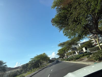The image shows a road in Milnerton, South Africa. The road has two lanes and is lined with trees and buildings. There are cars driving on the road. The sky is blue and there are some clouds. The weather appears sunny. Buildings of various sizes are on the right of the image. Other buildings and trees are visible on the left. The picture seems to be taken from a vehicle's perspective.