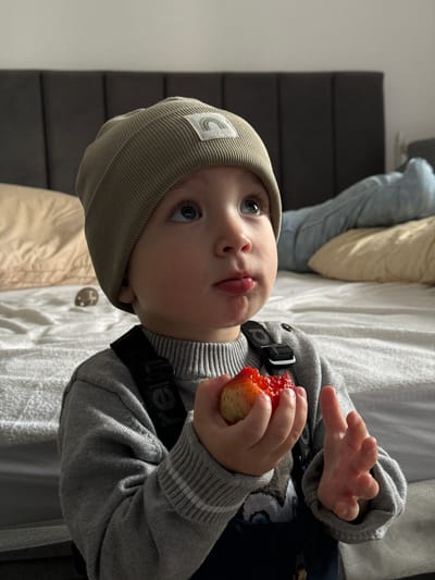 An indoor scene in Gribovo, Russia, shows a young child, approximately a toddler, from the waist up. The child wears a ribbed olive green beanie with a white square patch depicting a light grey rainbow on the front, a grey knit long-sleeved sweater with two horizontal white stripes on each cuff, and dark-colored overalls with black strap buckles visible on the left shoulder. The child's gaze is directed upwards and slightly to the right of the frame, with the mouth slightly open, revealing a red stain on the lower lip. The child holds a partially consumed strawberry in their left hand, exposing red fruit flesh and a pale green base. The right hand is open, fingers slightly splayed, showing red residue on the palm and fingers. The child is positioned on a white, textured surface, likely a bed or mattress. In the background, a large, dark grey upholstered headboard with vertical segments is visible. To the left, a light tan pillow rests on the bed. To the right, a light blue-grey pillow is partially visible, with a limb (possibly a leg) draped across it. A small, dark brown, textured spherical object is situated on the white bed surface to the child's left. The background wall is plain and light-colored.