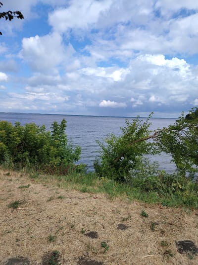 A tranquil landscape captures a body of water under a cloudy sky. The water, likely a lake or large river, appears calm with subtle ripples on its surface, reflecting the overcast heavens. Dense green foliage lines the near bank of the water, with trees and bushes creating a vibrant border. One tree, in particular, has a branch that dramatically bends and extends over the water. The foreground is characterized by dry, straw-colored grass, suggesting a warm, possibly late summer or early autumn day. Scattered dark patches in the foreground may be shadows or areas of bare earth. The sky is a mix of blue patches peeking through dramatic, billowy white and gray clouds, hinting at dynamic weather. The overall impression is one of natural beauty and peaceful solitude. The location is identified as Balyko-Shchuchynka, Ukraine. There is no visible text in the image.
