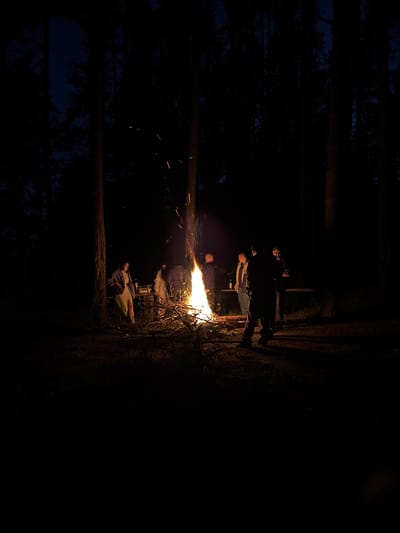 This media file depicts a group of people gathered around a bonfire in a forest setting at night. The scene is dominated by darkness, with the bonfire providing the primary source of light and illumination. Several individuals are visible, seated or standing around the fire, their faces and figures partially lit by the flames. The bonfire itself is a prominent element, with bright orange flames and sparks emanating from it.

The surrounding environment appears to be a dense forest, with trees visible in the background, silhouetted against the night sky. The ground around the bonfire seems to be covered in pine needles or other forest debris. The time of day is clearly nighttime, indicated by the deep darkness and the presence of the bonfire. There are no clear indicators of the weather, but the scene suggests a calm and cool evening suitable for a bonfire.

The people are dressed in casual clothing, suggesting an informal gathering. Their postures and proximity to the fire indicate a shared experience of warmth and camaraderie. Some individuals are looking towards the fire, while others might be interacting with each other. The overall emotion conveyed is one of relaxation and togetherness, characteristic of a camping or outdoor social event.

Specific details that can be observed include the varying sizes and shapes of the flames, the upward trajectory of the sparks, and the texture of the tree bark. The way the light from the bonfire casts shadows and highlights the faces of the people adds depth and atmosphere to the image.

No visible text is present in the image. The location cues suggest a natural, wooded area, consistent with the provided location context of Sosnovyi, Russia, implying an outdoor recreational setting.