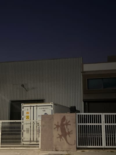 The image depicts an outdoor nighttime scene in Alcàsser, Spain, featuring architectural structures and objects under a dark blue sky. In the background, a large, grey corrugated metal building with a visible wall-mounted light fixture dominates the left side. To its right, a multi-story building with a brown facade and a rectangular, dark-paned window is partially visible. In the midground, a white shipping container, marked "TITO 995226 3 45R0" and bearing an "ARC" logo, stands in front of the corrugated building's lower section. The foreground features a light-colored rectangular wall segment with a reddish-brown stencil of a gecko or lizard. To the left of this wall, a white metal grate fence is visible, and to its right, a white double-leaf metal gate with vertical bars and decorative scrolls at the base restricts access. No individuals or discernible actions are present in the scene.