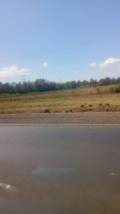 The image depicts a wide outdoor scene captured from a low perspective, likely from a moving vehicle. The dominant features include a clear blue sky, a landscape of dry grass and distant trees, and a paved road in the foreground.
The upper portion of the image is filled with a bright, clear blue sky, featuring a few wispy white clouds scattered across it. Several thin power lines stretch horizontally across the sky, and in the distance, two or more metal lattice transmission towers (pylons) are visible, supporting these lines.
Below the sky, a horizon line is formed by a dense band of dark green trees, suggesting a forest or a heavily wooded area. In front of these trees, a vast expanse of open land stretches, covered primarily with dry, yellowish-brown grass and some patches of lighter green vegetation. The ground in this area appears somewhat uneven, with scattered rocks and small bushes. The overall impression of this middle ground is one of arid or parched conditions.
The bottom half of the image is dominated by what appears to be a wide, paved road or a large, flat, dark gray surface, possibly asphalt or concrete. This surface shows some reflections and a few lighter, rectangular-shaped patches, which could be glare, water, or surface markings. The texture of this foreground surface appears slightly blurred, consistent with an image taken from a moving vehicle. Directly adjacent to the paved road, a narrow strip of gravelly or rocky dirt forms a shoulder, separating the road from the grassy field beyond.
The scene conveys a sense of open space and travel, under bright, clear daylight conditions. No specific activity is clearly depicted, but the context suggests observation from a journey. There is no visible text in the image.