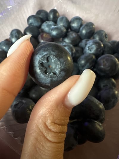 A close-up, overhead shot captures a person's hand holding a single ripe blueberry in front of a blurred background of many more blueberries. The blueberry in focus is dark blue with a distinct star-shaped indentation on its top. The fingers holding it have long, white, manicured nails. The blueberries in the background are also dark blue and appear to be in a clear plastic container. The scene is well-lit, highlighting the texture of the fruit and skin. The image does not provide any information about the location in Sverdlovskiy, Russia.