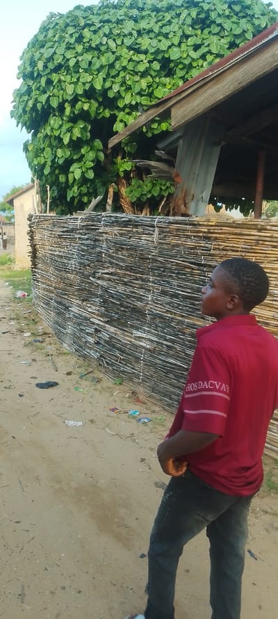 This media file captures an outdoor scene in Doka-Tofa, Nigeria. The primary subject is a young boy, seen from the side, looking to his right. He is wearing a maroon t-shirt with white text on the sleeve that reads "HOSDACVAY" and a pair of dark jeans. His left hand is tucked into his jeans pocket.
The boy stands on a dirt path that is littered with various small pieces of debris and trash, including plastic wrappers and bags. To his right is a distinctive fence constructed from horizontally stacked, thin wooden poles, tied together with white string. This fence extends along the length of the scene.
Behind the fence, a large, lush green tree with broad leaves dominates the upper portion of the image. A portion of a rustic, wooden structure with a corrugated metal roof is visible above the fence and partially obscured by the tree. In the background, to the left, a simple building with a light-colored wall and a dark roof can be seen, along with another, more distant structure.
The lighting suggests it is daytime, possibly late afternoon given the angle of the light and the shadows. The overall impression is of a rural or semi-rural environment. The scene appears calm, with no obvious activity other than the boy standing and observing.