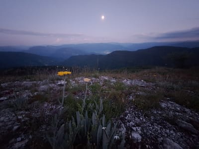 This image depicts a twilight landscape with rolling hills and mountains fading into the distance. The sky is a soft gradient of purple and blue, with a pale moon visible in the upper center. The foreground is a rocky terrain with sparse vegetation, including some yellow wildflowers and feathery grey-green plants. The overall mood is serene and natural, suggesting a rural or mountainous environment at dusk.
The location provided, "Kosovo, Bulgaria," is ambiguous. "Kosovo" is a country in Southeast Europe, while "Bulgaria" is another country in the same region. It is possible that there is a town or village named Kosovo within Bulgaria, or the user may be conflating two distinct locations. Without further clarification, it is impossible to pinpoint the exact location. However, the scene is consistent with a mountainous or hilly region that could be found in either Bulgaria or Kosovo.