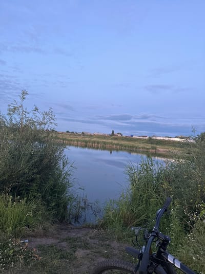 The image depicts a peaceful waterside scene in Заречный ауылдық округі, Kazakhstan, at dusk. The sky is a soft blue with scattered, wispy clouds, suggesting fair weather and the transition from day to night. A calm body of water, likely a river or canal, dominates the right side of the frame, its surface reflecting the sky and the distant landscape.
Along the opposite bank of the water, a strip of dry grass and vegetation is visible, backed by a white fence. Beyond the fence, there are hints of scattered houses and buildings, suggesting a rural or semi-rural settlement. The overall atmosphere is serene and quiet, with the gentle reflection on the water enhancing the sense of tranquility.
In the foreground, on the right side of the image, a bicycle is parked amidst tall green grass and some small white wildflowers. The handlebars and part of the front wheel are visible, indicating the presence of a rider who has paused to enjoy the surroundings. The vegetation in the foreground is lush and somewhat wild, with taller grasses and some leafy plants. The ground appears to be a dirt path.
The image is oriented vertically, and its rotation adds a unique perspective to the scene. The time of day is clearly evening, as indicated by the soft, diffused light and the sky's coloration. No text is visible in the image.