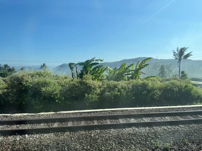 A railroad track is visible in the foreground of the image, running horizontally across the frame. The track is composed of dark gray ballast supporting two parallel sets of rails. In the mid-ground, a dense line of green foliage, appearing as bushes and leafy plants, stretches across the landscape. Interspersed within this foliage are several banana plants with their characteristic large leaves. Further in the background, rolling hills are visible under a clear, light blue sky. A solitary palm tree stands tall on the right side of the frame, its fronds swaying slightly. Utility wires are strung across the scene, supported by poles. The overall impression is of a rural or semi-rural environment, possibly in the vicinity of Pekuncen, Indonesia, given the tropical vegetation and clear sky suggesting a daytime scene. No people or animals are present in the image.