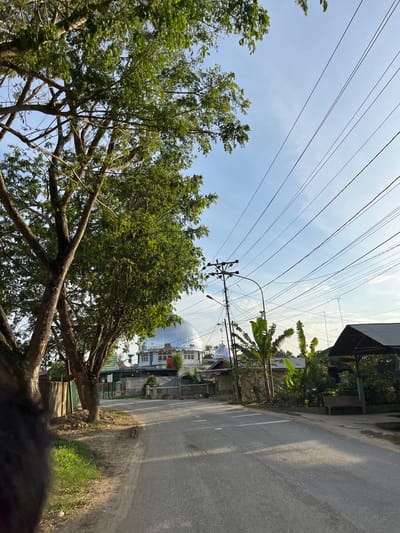 This is a medium-shot, eye-level, outdoor, daytime photograph taken on a paved road in Alurcucur, Indonesia. On the left side of the frame, large trees with lush green foliage dominate the foreground, with their branches extending upwards and outwards. Beyond the trees, a mosque with a silver dome and white walls is visible, situated behind a green fence. The road stretches into the distance, with a gentle curve to the right. Several utility poles with numerous wires crisscross the sky, some of which are silhouetted against the light blue sky. Banana trees and other tropical vegetation can be seen on the right side of the road, near a covered seating area with a wooden bench. The overall scene depicts a quiet, residential street bathed in the warm light of either early morning or late afternoon. There are no people visible in the frame.