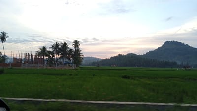 This image depicts a rural landscape, possibly in the city of Uleejalan, Indonesia, at dawn or dusk. In the foreground, a vibrant green rice paddy stretches across the frame, its surface slightly blurred by motion. A low wall or barrier runs along the bottom edge of the image.

To the left, a construction site is visible, featuring a building under construction with exposed brickwork and scaffolding. Several tall palm trees stand nearby, their fronds silhouetted against the pale sky. A motorcycle is parked near the construction site.

In the midground, the rice paddy continues, dotted with small structures that appear to be simple huts or shelters. The landscape is bordered by a dense forest of trees, likely coconut palms, leading up to rolling hills and a prominent, dark green mountain in the background. The sky is a soft gradient of white, pale yellow, and light pink, indicating either sunrise or sunset, with scattered, wispy clouds. The overall atmosphere is tranquil and serene.