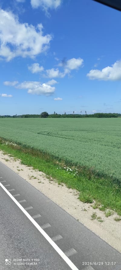 The image captures a rural landscape with a vast green field stretching towards a distant tree line under a bright blue sky dotted with fluffy white clouds. In the foreground, a section of an asphalt road with a white dashed line runs diagonally across the frame. A narrow strip of grass and gravel separates the road from the field. The field appears to be a cultivated crop, possibly grains, showing subtle patterns of growth. The overall impression is one of a serene summer day in the countryside. The metadata at the bottom indicates the image was taken with a REDMI NOTE 9 PRO with AI QUAD CAMERA and the date and time are 2026/6/29 12:57. The location of Mäekülä, Estonia is a rural area, consistent with the agricultural landscape depicted.