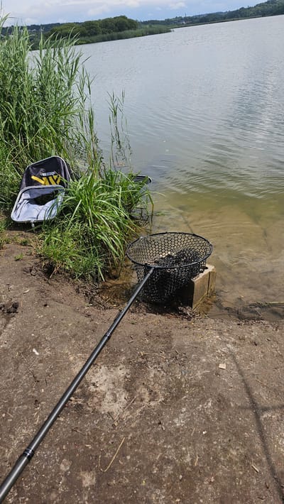 The image depicts a serene lakeside scene in Moluvėnai, Lithuania, on a bright, overcast day. In the foreground, a fishing rod lies on the muddy bank, its carbon fiber construction visible. To the left, a partially open fishing bag, black and gray with yellow accents, rests near tall reeds. Adjacent to the bag, a fishing net, filled with what appears to be fish, is propped on a concrete block at the water's edge. The lake's surface is calm, reflecting the cloudy sky and the distant treeline. The water is clear enough to reveal the sandy bottom near the shore. The overall atmosphere suggests a peaceful, quiet moment of angling.