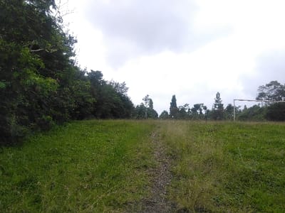 The image displays an overgrown football or recreational pitch located in Dinant, Belgium, under an overcast sky. A central dirt path traverses the foreground and mid-ground of the verdant, unkempt field. A dense line of mixed deciduous and coniferous trees borders the field on the left. On the right side of the field, in the mid-distance, a white metal goalpost structure, featuring a crossbar and at least one vertical post, is visible. No individuals or active events are present in the scene.