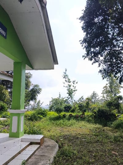 This image depicts an outdoor scene located in the city of Nanlao, China, under a bright, cloudy sky. In the foreground on the left, a section of a building features a prominent light green pillar with white trim at its base and capital, supporting a white-undersided overhang. A dark blue sign with white lettering, partially visible and ending in "AHU", is mounted on the green wall of the structure. Below the pillar, white tiled steps lead onto a concrete edge, transitioning into an unkempt grassy area. The central and right foreground consists of sparse grass, scattered weeds, and patches of bare earth. In the midground, numerous green trees and shrubs of varying heights form dense foliage, with several dark, cylindrical objects, possibly planters or pots, clustered among them. The background reveals additional trees and distant, indistinct hills or mountains under a light blue sky with dispersed white clouds. No people or animals are visible in the scene.