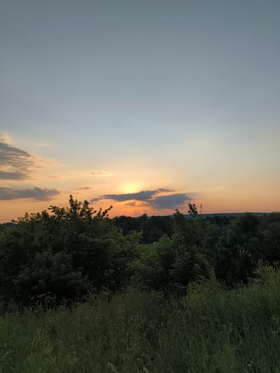 The image depicts a sunset over a rural landscape in Uzunovo, Russia. The sky is a gradient of soft blues and oranges, with wispy clouds catching the last rays of sunlight. The sun itself is partially obscured by a dark cloud, creating a dramatic effect as its golden light peeks through.
In the foreground, tall green grass and wildflowers line a gentle slope, suggesting an outdoor setting. Behind the grass, a dense line of trees forms a dark silhouette against the colorful sky. The trees appear lush and green, indicating it is likely late spring or summer. The overall impression is one of tranquility and natural beauty. The scene evokes a sense of peace and the end of a warm day. The time of day is clearly sunset. There are no people or man-made objects visible, emphasizing the natural environment.