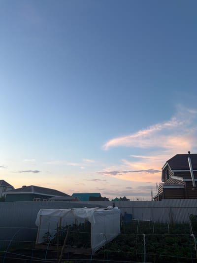 The image depicts a rural backyard scene at dusk in Nizhny Suyk-Su, Russia. The sky is a gradient of pale blue to soft pink and orange, with wispy clouds illuminated by the setting sun. In the foreground, a garden area is visible, featuring what appears to be a small greenhouse or protective covering over plants, supported by wooden frames and a white plastic sheeting. Several rows of plants are visible beneath the covering and surrounding it. A metal fence runs horizontally across the middle ground, separating the garden from the background. Behind the fence, several houses with pitched roofs are visible, constructed with various materials including wood siding and lighter colored facades. One prominent building on the right is a wooden house with multiple levels and a dark shingled roof, featuring a chimney pipe. The overall impression is of a tranquil evening in a residential rural area.