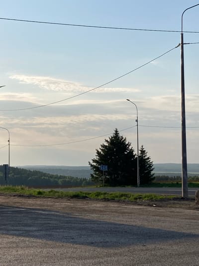 The image presents a rural roadside scene in Verkh-Sosnova, Russia. An asphalt road occupies the foreground, transitioning to a grassy verge. Beyond lies a dense forest lining the horizon, partially obscured by atmospheric haze. Power lines and utility poles bisect the sky, which is marked by wispy cirrus clouds. A solitary tree stands adjacent to the road, partially obscuring a blue and white road sign. No people or animals are visible. The overall setting suggests a remote or semi-rural location.