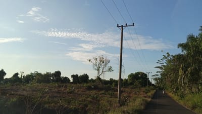 This image depicts a rural roadside scene in Kebonbaru, Indonesia. A single utility pole with multiple wires stands prominently in the foreground, leaning slightly to the right. The pole is made of concrete and has insulators attached to crossbars. To the right of the pole, a paved road stretches into the distance, bordered by dense green foliage. A lone motorcyclist is visible on the road, heading away from the viewer. The landscape is characterized by sparse, dry vegetation in the foreground, transitioning to lush trees and palms along the roadside and in the background. The sky is clear blue with scattered white clouds, suggesting daytime. The overall impression is one of a natural, undeveloped environment with functional infrastructure.