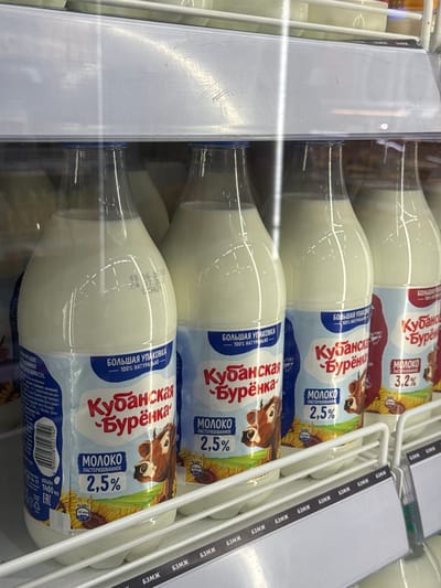 The image shows a refrigerated display case filled with multiple bottles of milk. The bottles are mostly transparent, allowing the white liquid inside to be seen. The labels on the bottles are primarily in Russian. The prominent brand name visible is "Кубанская Буренка" (Kubanskaya Burenka), which translates to "Kuban's Little Cow." The labels also indicate "МОЛОКО ПАСТЕРИЗОВАННОЕ" (Pasteurized Milk) and specify fat percentages of "2,5%" and "3,2%". Some bottles have a large quantity indication of "БОЛЬШАЯ УПАКОВКА" (Large Packaging) and "100% НАТУРАЛЬНО" (100% Natural). A barcode is visible on one of the labels, along with what appears to be a production date and expiration date, "18.06.26" and "04.07.26". The setting is likely a grocery store or supermarket, given the refrigerated display and the presence of price tags or informational strips with repetitive text like "БЗМЖ". The lighting suggests an indoor environment, possibly illuminated by artificial store lights. The overall impression is a commercial display of dairy products.