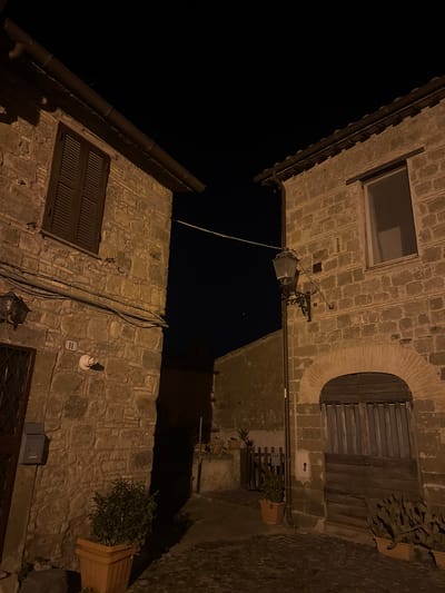 The image shows a narrow street in Castelnuovo di Porto, Italy, at night. The perspective is angled upward, showing the facades of two buildings constructed of rough-hewn stones, facing each other across a narrow space. Above, the sky is dark. The buildings feature windows with closed shutters and one arched window. Streetlights illuminate the stone walls. Several potted plants sit at ground level or on walls. Electrical wires span the gap between buildings.