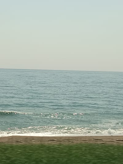 The image depicts a tranquil scene of the sea meeting the shore. The sky is a pale, hazy blue, transitioning to a lighter hue near the horizon. The sea itself is a deep turquoise, with gentle waves rippling towards the shore. Sunlight glints off the water's surface, creating shimmering highlights.
In the foreground, a strip of sandy beach is visible, with a few pieces of driftwood scattered across it. Beyond the beach, a patch of vibrant green grass stretches out, suggesting a park or a manicured area adjacent to the coast. The overall impression is one of peaceful natural beauty. The location is identified as Vzmor'ye, Russia.