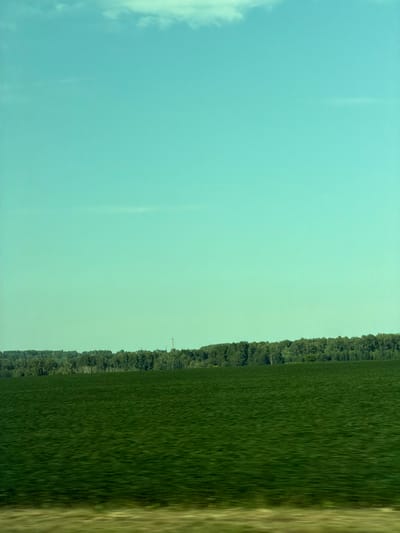 The image depicts a vast, green field under a pale blue sky with a few wispy clouds. A dense line of trees forms a horizon across the middle of the frame, with a tall, slender industrial tower visible amidst the foliage on the right side. The foreground shows a blurred strip of what appears to be ground or vegetation, suggesting movement. The overall impression is one of a rural or semi-rural landscape. The location is the city of Posevnaya, Russia.