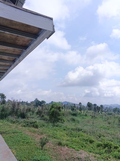 The scene depicts an exterior landscape view in Man Gyat, Myanmar. The upper left quadrant presents the underside of a building overhang, showing parallel metal framework supporting light-colored panels and a visible outer fascia board. The sky occupies the upper right and central areas, characterized by a light blue hue with scattered white cumulus clouds. Below the horizon line, the midground and background are dominated by an expansive area of green vegetation, composed of dense shrubs, tall grasses, and scattered trees. Distant rolling hills, also vegetated, are visible in the background, with faint indications of blue-roofed structures interspersed among the trees. A narrow, light-colored concrete or paved surface runs along the bottom edge, extending into the lower left corner. No individuals or specific actions are visible.