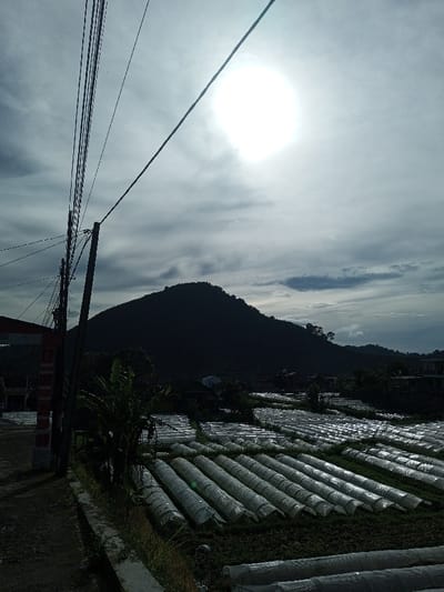 The image displays an agricultural landscape in Salai Har Htan, Myanmar, under an overcast sky with a prominent, bright sun centered in the upper left quadrant. The scene is dominated by a large, dark, heavily forested mountain or hill in the background, appearing in silhouette. In the midground, a field stretches across the frame, covered extensively with numerous parallel rows of low-lying, elongated structures made of translucent or white plastic sheeting, consistent with agricultural polytunnels or greenhouses.

In the foreground on the left, a dark utility pole supports multiple overhead electrical or communication wires that traverse diagonally across the upper portion of the frame. Attached to the pole is a vertical sign with red and white markings, partially obscured. Directly below the wires and to the right of the pole, green foliage, possibly banana plants, is visible. A dirt path or road runs along the bottom left edge, bordered by a concrete curb. No individuals are present in the frame. The overall lighting suggests daylight with diffuse ambient light, though the direct sun creates a bright spot in the sky.