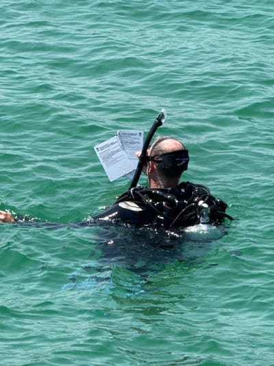 An overhead shot captures a male diver at the surface of calm, greenish-blue water, likely off Frankston, Australia. The diver wears a black wetsuit, a diving mask with a snorkel attached, and appears to be equipped with a buoyancy control device (BCD) and air tank, though much of his body and gear are submerged or just at the water line. He is seen from the chest up, with his head tilted down, focused on a white dive slate or manual he holds in front of him. The slate is partially wet, with visible water droplets, and contains small, illegible text and diagrams. The water's surface shows gentle ripples, suggesting a calm day with bright sunlight. The diver appears to be either preparing for a dive, undergoing training, or reviewing information while floating.