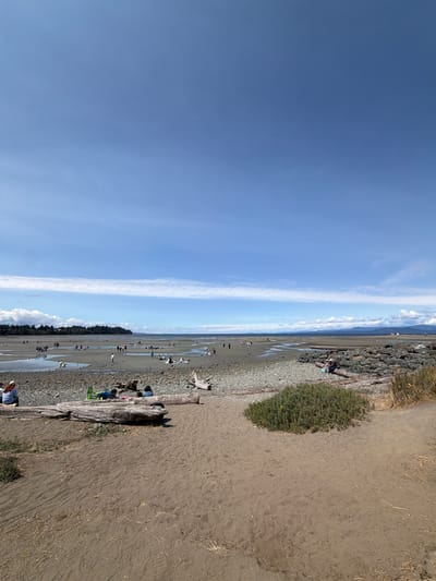 This image shows Rathtrevor Beach Provincial Park in Parksville, British Columbia, Canada, during low tide on a sunny day. The foreground features a sandy beach with several large pieces of driftwood. In the mid-ground, the exposed seabed is dotted with people engaged in various activities. Some are walking, others are sitting or picnicking on the pebbles and sand. The water is a thin sheet over the tidal flats, with small puddles and channels visible. In the background, a line of evergreen trees forms the coastline, and beyond that, a hazy mountain range can be seen under a bright blue sky with wispy white clouds. The overall scene depicts a popular recreational area during a calm, sunny day.