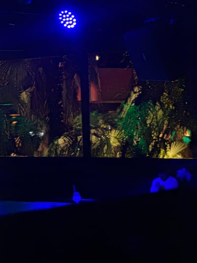 The image depicts a dimly lit indoor scene with tropical plants visible through a large window or opening. A blue stage light illuminates the upper left portion of the frame. To the right, a large speaker is suspended from the ceiling. In the foreground, a dark surface runs horizontally, with a small object emitting a blue light on its left side. Towards the right of the foreground, two figures are seated, illuminated by blue light. The scene is set at a venue in Grumello del Monte, Italy.