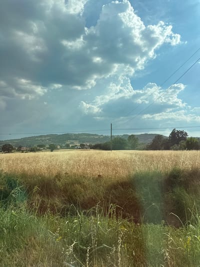 This media file depicts a rural landscape in Passaggio, Italy. The scene is split between a vast expanse of sky on the left and a golden field of grain on the right. The sky is filled with dramatic, cumulus clouds, some bright white and illuminated by sunlight, others darker and tinged with gray, suggesting an overcast or partly cloudy day. Several power lines stretch horizontally across the sky, supported by a distant utility pole.
The field of grain dominates the right side of the frame, appearing ripe and ready for harvest. Its golden hue contrasts with the lush green vegetation growing along the edge of the field, which appears wild and untamed. In the distance, a rolling hillside is dotted with trees and a few scattered buildings, hinting at a small village or rural settlement nestled within the landscape. The overall impression is one of a serene, natural setting bathed in the warm light of daytime. No people or specific events are captured in the image.