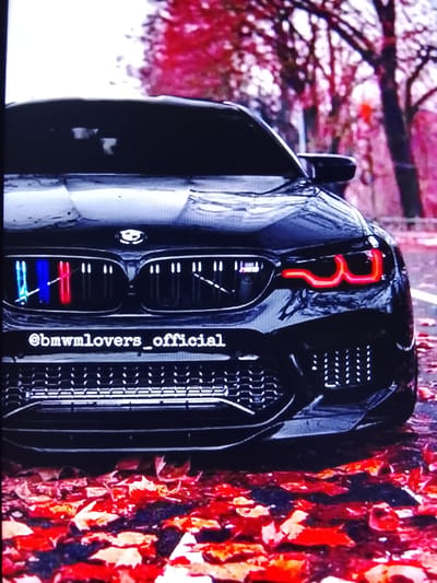 A black BMW M car is parked on a street covered in fallen red and orange leaves. The car has its distinctive red angel eye headlights illuminated. The grille of the car features the BMW logo and the M-colored stripes in blue, red, and red. Below the grille, there is a watermark that reads "@bmwmlovers_official". The background shows trees with red and pink foliage, suggesting an autumn setting. There are no people visible in the image. The scene appears to be an artistic shot of the car in a natural environment.