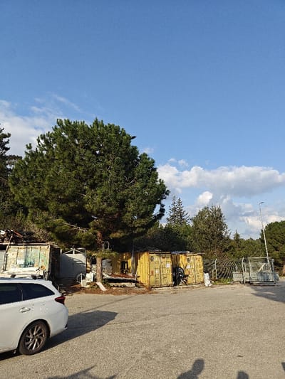 The scene depicts an outdoor paved lot in Nesher, Israel, with adjacent storage containers and natural vegetation under a clear blue sky with scattered white cumulus clouds.
In the foreground, an asphalt surface extends across the lower portion of the image, exhibiting minor cracking. Distinct dark shadows, cast by at least two human figures, are visible on the lower right of the pavement, indicating the presence of individuals out of frame. The shadow of a parked vehicle is also visible on the left side of the pavement.
A white station wagon, rear quarter and wheel visible, is parked on the left side of the paved lot, facing away from the viewer. A large, dense pine tree stands centrally in the midground, its foliage reaching into the upper left of the frame.
Behind the tree and vehicle, from left to right, are several structures:
1. An olive green, weathered shipping container is partially visible behind the white vehicle.
2. A light-colored, possibly gray, metal structure or gate is situated behind the pine tree.
3. Two yellow shipping containers are positioned side-by-side to the right of the pine tree. The left yellow container has faded markings on its side. The right yellow container has a dark, unidentifiable object leaning against its visible end.
4. Various debris, including wooden pallets and white bags, are scattered on the ground around the containers and the base of the pine tree.
5. A chain-link fence runs horizontally across the midground to the right of the yellow containers.
6. A large, gray metal vehicle gate structure is visible on the far right, beyond the fence.
7. A tall, dark streetlamp pole with a luminaire is visible in the upper right, rising above the background vegetation.
The background consists of dense green foliage, primarily coniferous trees, extending across the entire upper right portion of the image. No active individuals or specific interactions are visible within the frame.