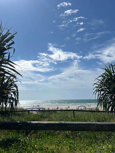 This media file captures a bright, sunny coastal scene, presented in portrait orientation. The image depicts a view towards the ocean and beach, framed by lush vegetation and a fence.
On the left side of the image, a wide expanse of clear blue sky dominates, adorned with scattered, wispy white clouds that stretch across the frame. A small, light-colored bird is visible flying in the sky near the center-left.
Running vertically through the middle of the image is the shimmering ocean and a sandy beach. The ocean's surface reflects bright sunlight, creating a sparkling effect, and meets a light-colored sandy shore. Several small human figures are visible on the beach; some are near a prominent blue and white striped sunshade or tent, while others are further along the waterline, indicating people are relaxing or strolling along the shore.
The right side of the image is occupied by dense, dark green foliage and grasses. A robust, dark vertical wooden post, possibly part of a fence or utility structure, stands prominently with thin wires attached. Spiky, palm-like leaves, characteristic of pandanus trees, frame the top and bottom edges of the image, adding to the tropical feel.
The scene suggests a pleasant daytime, likely mid-morning to late afternoon, given the strong sunlight and clear conditions. The atmosphere is one of leisure and natural beauty. The location context provided is Coolangatta, Australia. There is no visible text in the image.